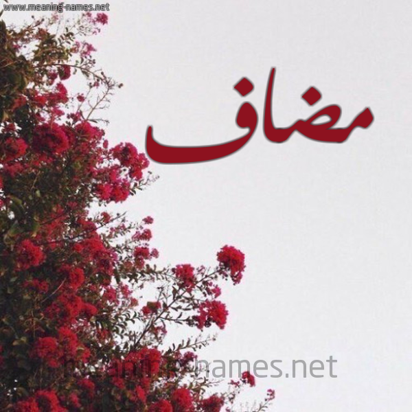 شكل 18 صوره الورد الأحمر للإسم بخط رقعة صورة اسم مضاف Medyaf