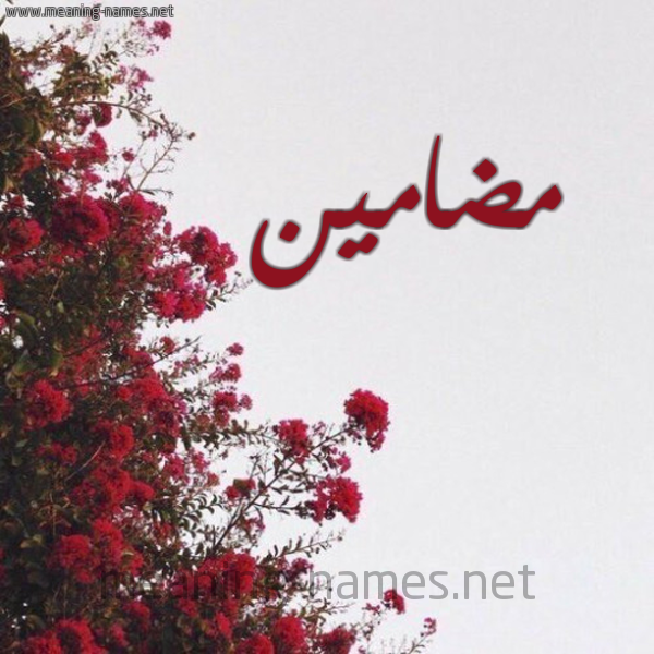 شكل 18 صوره الورد الأحمر للإسم بخط رقعة صورة اسم مضامين Mdamyn