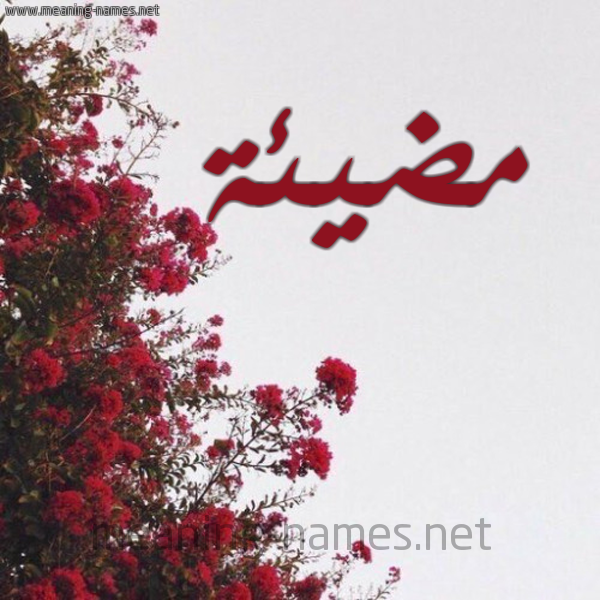شكل 18 صوره الورد الأحمر للإسم بخط رقعة صورة اسم مضيئة MDIEH
