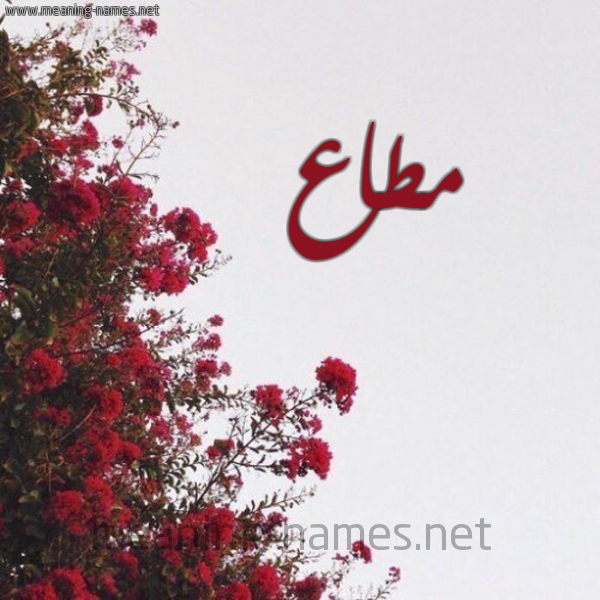 شكل 18 صوره الورد الأحمر للإسم بخط رقعة صورة اسم مطاع MOUTAA