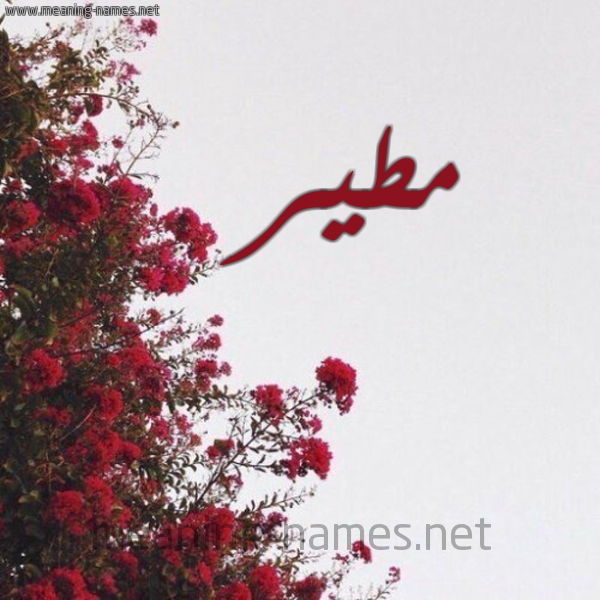 شكل 18 صوره الورد الأحمر للإسم بخط رقعة صورة اسم مطير MTIR