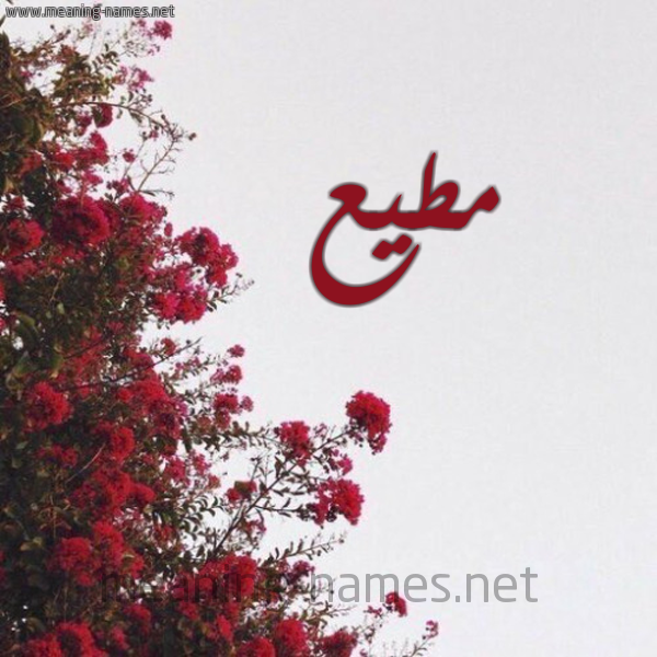 شكل 18 صوره الورد الأحمر للإسم بخط رقعة صورة اسم مطيع Motaia