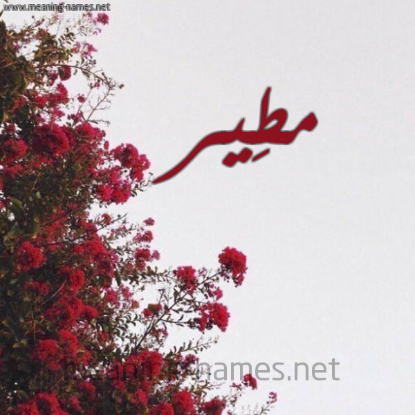 شكل 18 صوره الورد الأحمر للإسم بخط رقعة صورة اسم مطِير MTEIR