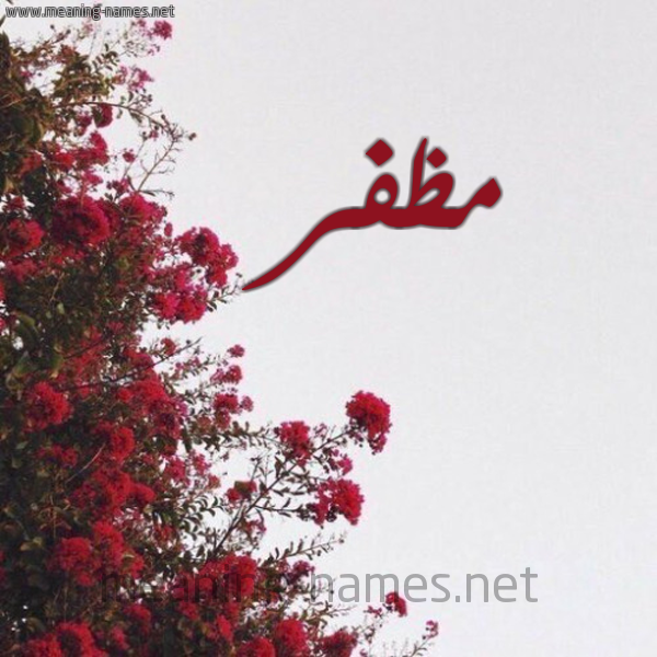 شكل 18 صوره الورد الأحمر للإسم بخط رقعة صورة اسم مظفر Mozfer