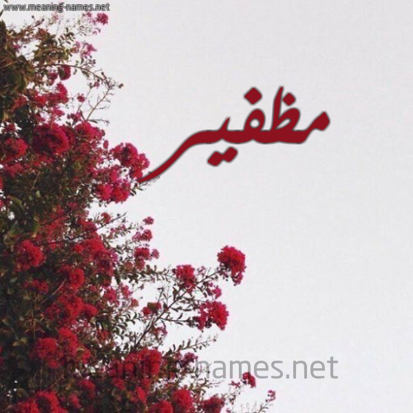 شكل 18 صوره الورد الأحمر للإسم بخط رقعة صورة اسم مظفير Muzafer