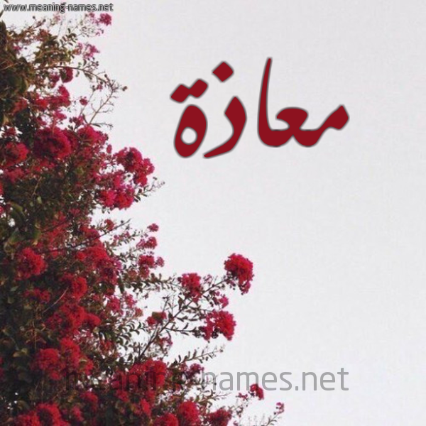 شكل 18 صوره الورد الأحمر للإسم بخط رقعة صورة اسم معاذة MAAZH