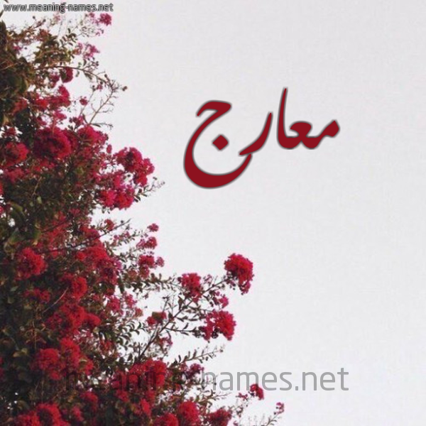 شكل 18 صوره الورد الأحمر للإسم بخط رقعة صورة اسم معارج M'arj