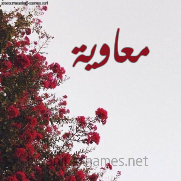 شكل 18 صوره الورد الأحمر للإسم بخط رقعة صورة اسم معاوية Moaoia