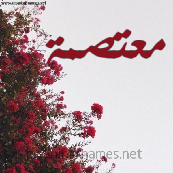 شكل 18 صوره الورد الأحمر للإسم بخط رقعة صورة اسم معتصمة MATSMH