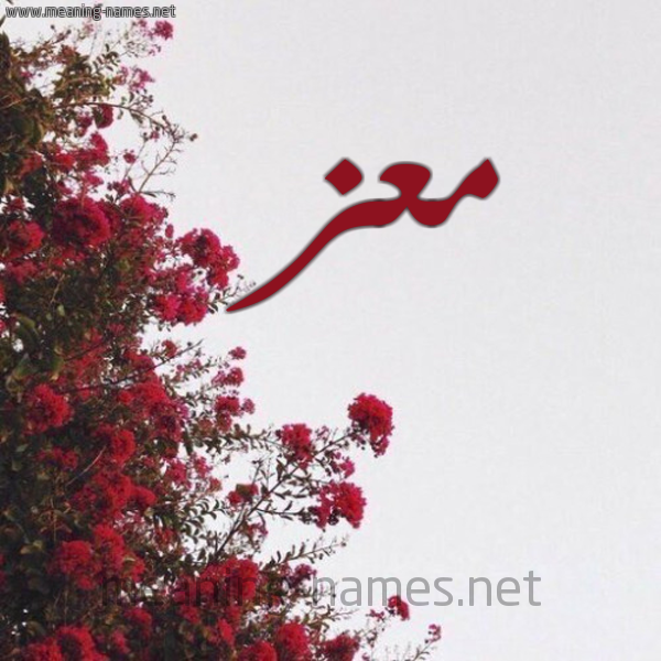 شكل 18 صوره الورد الأحمر للإسم بخط رقعة صورة اسم معز Maz