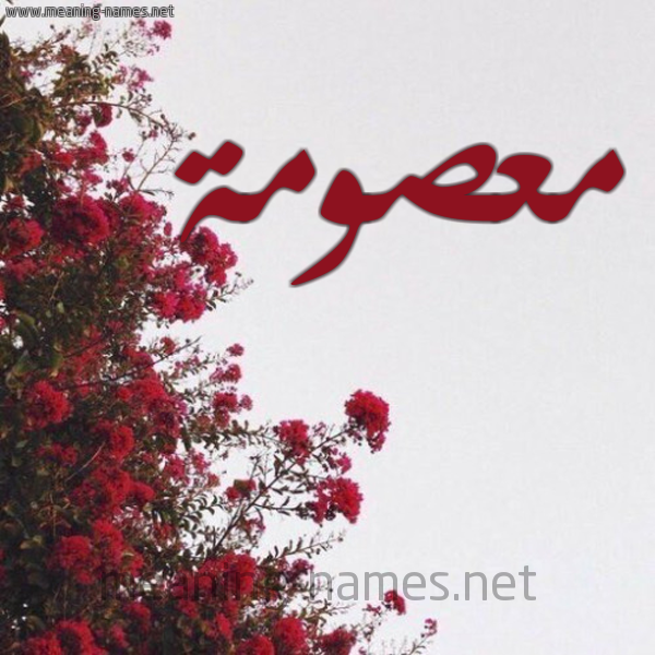 شكل 18 صوره الورد الأحمر للإسم بخط رقعة صورة اسم معصومة MASOma