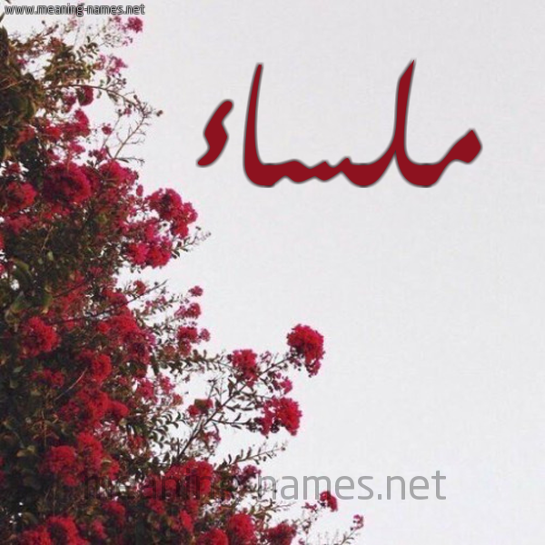 شكل 18 صوره الورد الأحمر للإسم بخط رقعة صورة اسم ملساء Mlsa'a