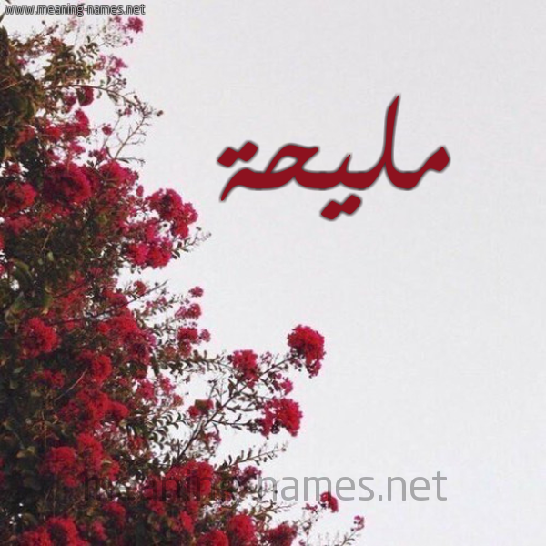 شكل 18 صوره الورد الأحمر للإسم بخط رقعة صورة اسم مليحة Mlyha