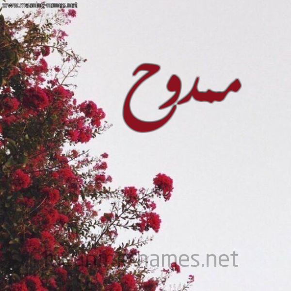 شكل 18 صوره الورد الأحمر للإسم بخط رقعة صورة اسم ممدوح Mamdouh