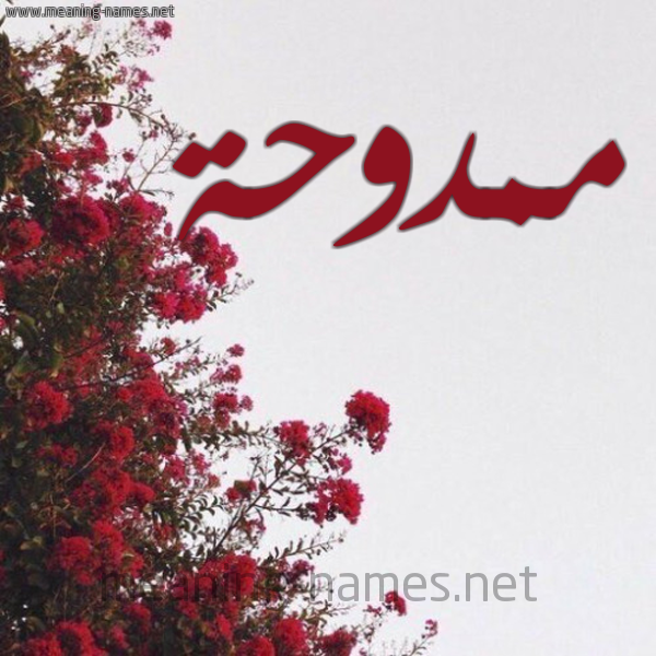 شكل 18 صوره الورد الأحمر للإسم بخط رقعة صورة اسم ممدوحة Mmdwhh.