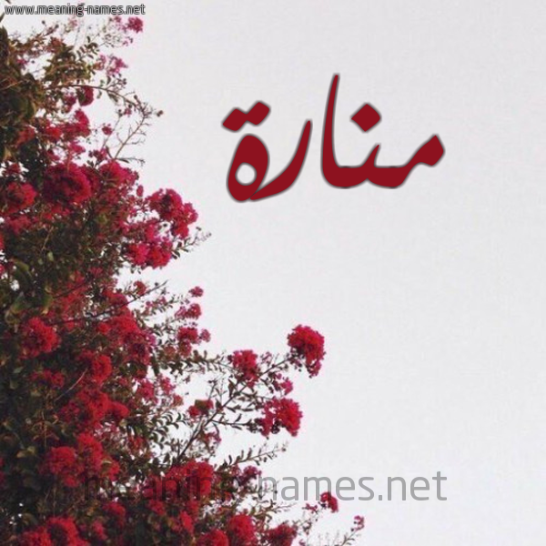 شكل 18 صوره الورد الأحمر للإسم بخط رقعة صورة اسم منارة Manara