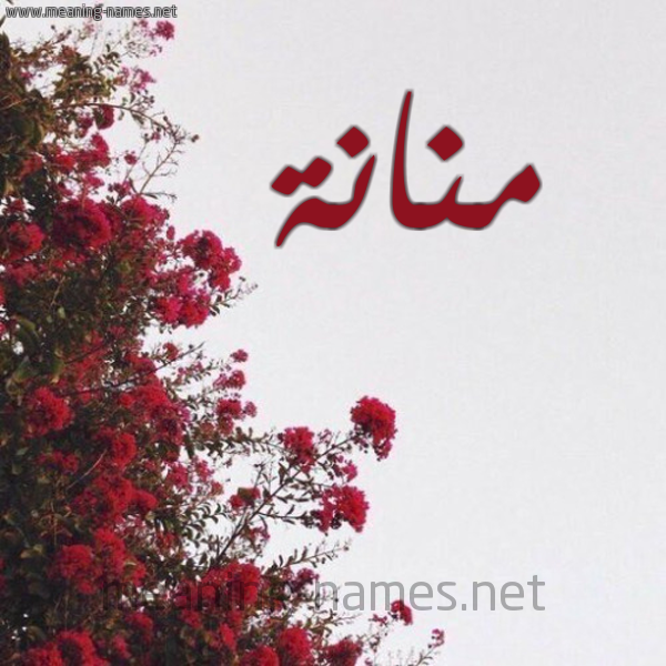 شكل 18 صوره الورد الأحمر للإسم بخط رقعة صورة اسم منانة MENNANA