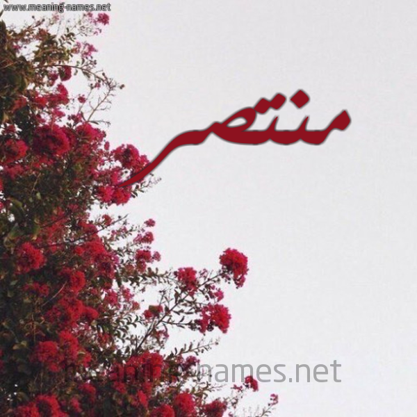 شكل 18 صوره الورد الأحمر للإسم بخط رقعة صورة اسم منتصر Mntsr