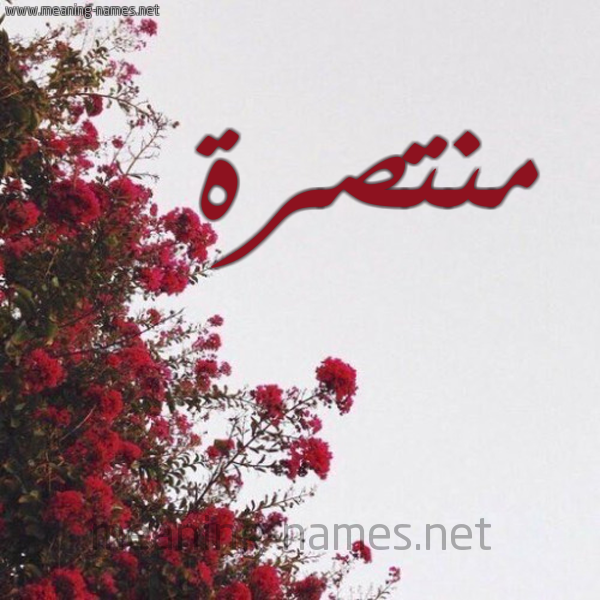 شكل 18 صوره الورد الأحمر للإسم بخط رقعة صورة اسم منتصرة MNTSRH