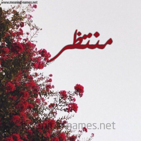 شكل 18 صوره الورد الأحمر للإسم بخط رقعة صورة اسم منتظر Mntzr