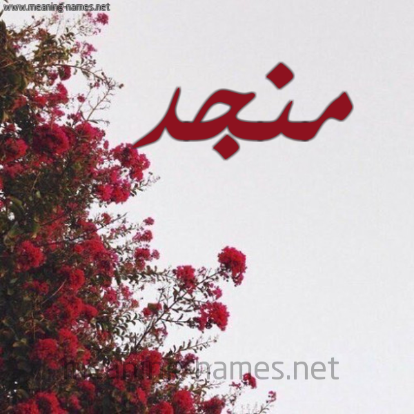 شكل 18 صوره الورد الأحمر للإسم بخط رقعة صورة اسم منجد Mngd