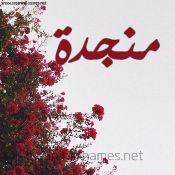 شكل 18 صوره الورد الأحمر للإسم بخط رقعة صورة اسم منجدة Mnjd'h