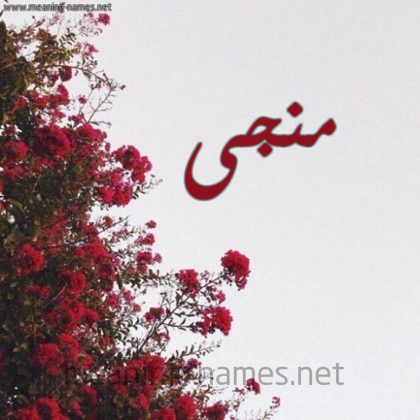 شكل 18 صوره الورد الأحمر للإسم بخط رقعة صورة اسم منجى MNGA