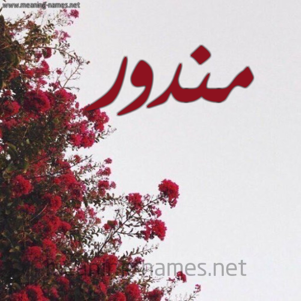 شكل 18 صوره الورد الأحمر للإسم بخط رقعة صورة اسم مندور Mandor