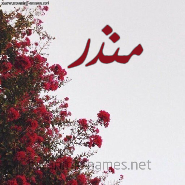 شكل 18 صوره الورد الأحمر للإسم بخط رقعة صورة اسم منذر Monzr