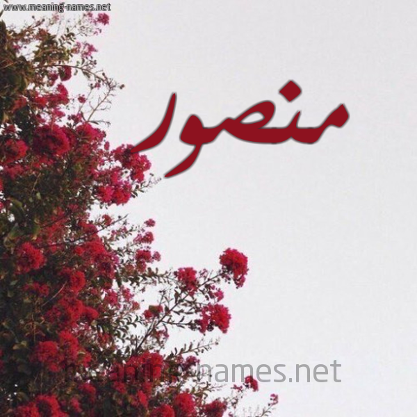 شكل 18 صوره الورد الأحمر للإسم بخط رقعة صورة اسم منصور Mansour