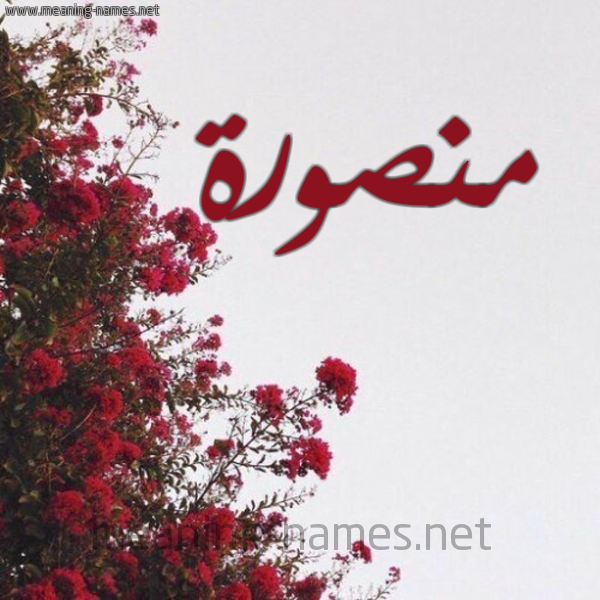 شكل 18 صوره الورد الأحمر للإسم بخط رقعة صورة اسم منصورة Mnswra