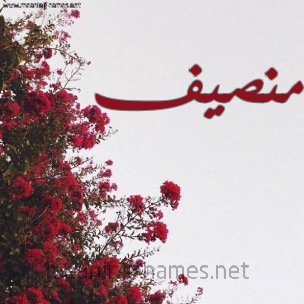 شكل 18 صوره الورد الأحمر للإسم بخط رقعة صورة اسم منصيف Monsif