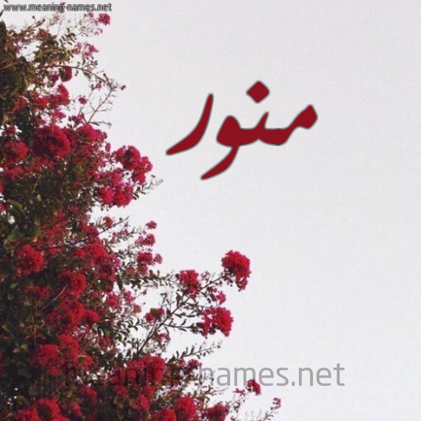 شكل 18 صوره الورد الأحمر للإسم بخط رقعة صورة اسم منور Monawar