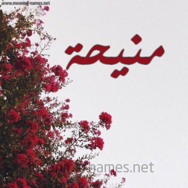 شكل 18 صوره الورد الأحمر للإسم بخط رقعة صورة اسم منيحة mneha