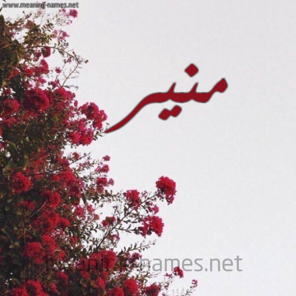 شكل 18 صوره الورد الأحمر للإسم بخط رقعة صورة اسم منير Monir