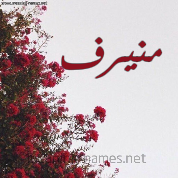 شكل 18 صوره الورد الأحمر للإسم بخط رقعة صورة اسم منيرف MNIRF