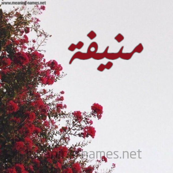شكل 18 صوره الورد الأحمر للإسم بخط رقعة صورة اسم منيفة Mnyfa