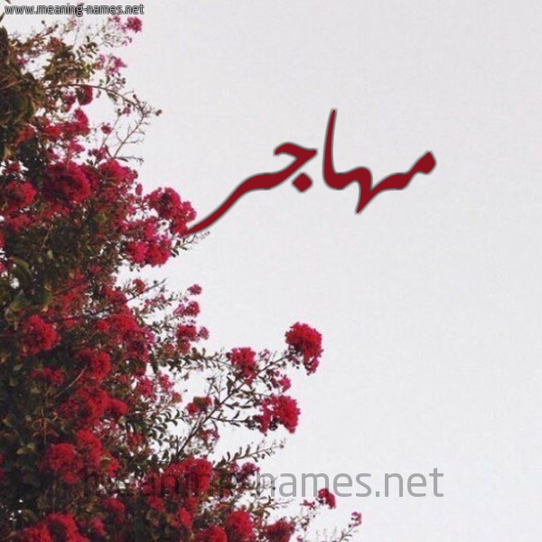 شكل 18 صوره الورد الأحمر للإسم بخط رقعة صورة اسم مهاجر Mhagr