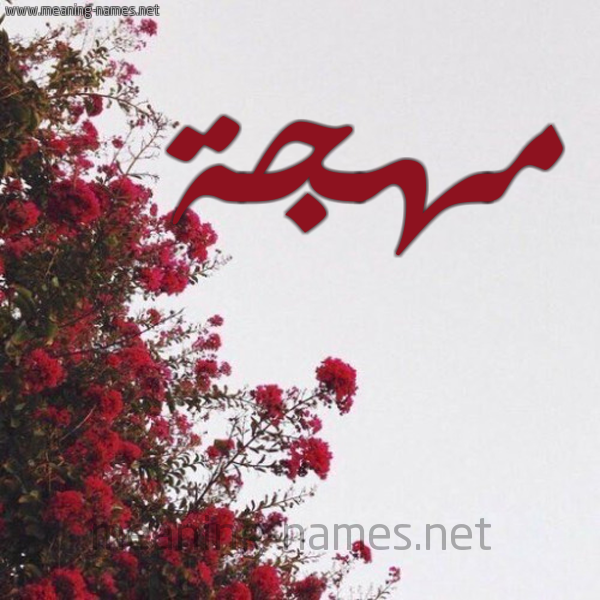 شكل 18 صوره الورد الأحمر للإسم بخط رقعة صورة اسم مهجة Mohja