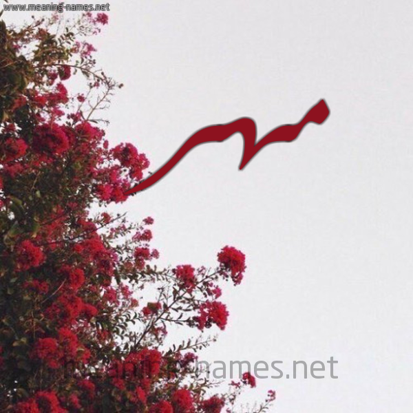 شكل 18 صوره الورد الأحمر للإسم بخط رقعة صورة اسم مهر Mohr