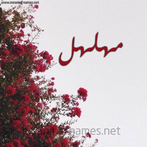 شكل 18 صوره الورد الأحمر للإسم بخط رقعة صورة اسم مهلهل Mhlhl