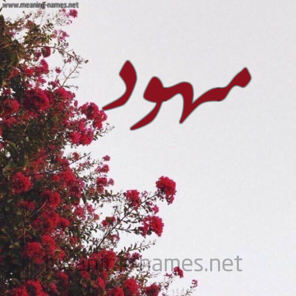 شكل 18 صوره الورد الأحمر للإسم بخط رقعة صورة اسم مهود Mhwd