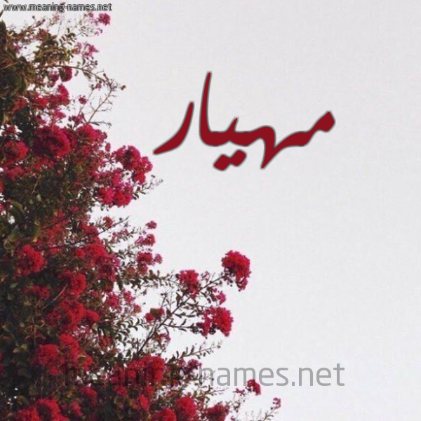 شكل 18 صوره الورد الأحمر للإسم بخط رقعة صورة اسم مهيار Mhiar