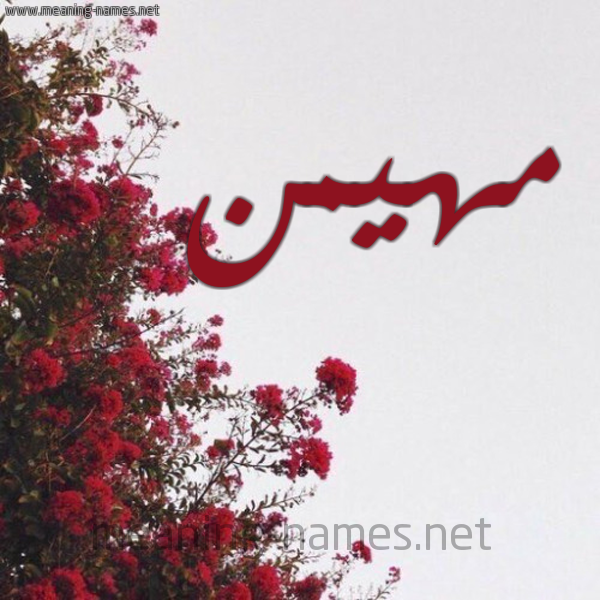 شكل 18 صوره الورد الأحمر للإسم بخط رقعة صورة اسم مهيمن Mhimen