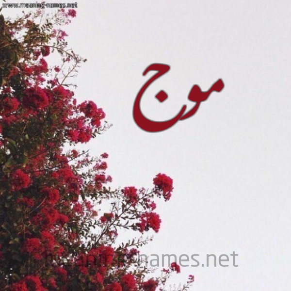 شكل 18 صوره الورد الأحمر للإسم بخط رقعة صورة اسم موج Mouj