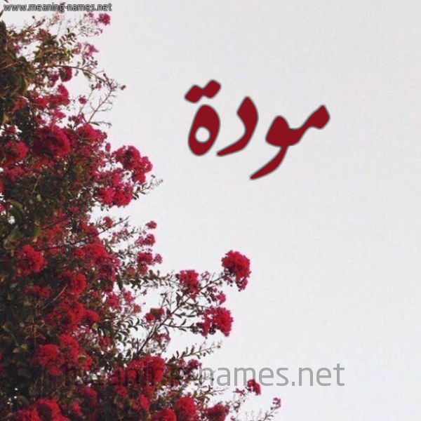 شكل 18 صوره الورد الأحمر للإسم بخط رقعة صورة اسم مودة Mwda