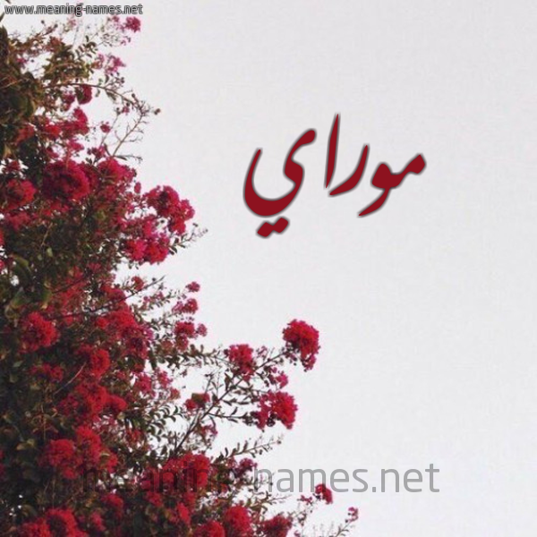 شكل 18 صوره الورد الأحمر للإسم بخط رقعة صورة اسم موراي mrai