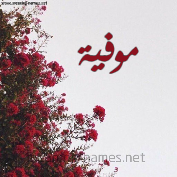 شكل 18 صوره الورد الأحمر للإسم بخط رقعة صورة اسم موفية Mwfyh