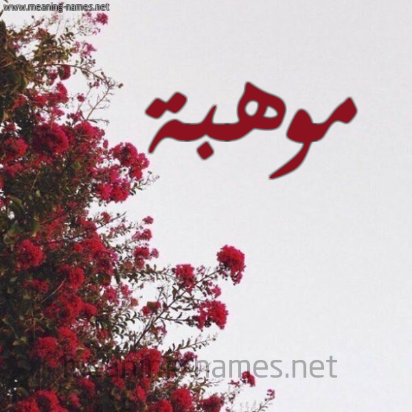 شكل 18 صوره الورد الأحمر للإسم بخط رقعة صورة اسم موهبة Mwhbh
