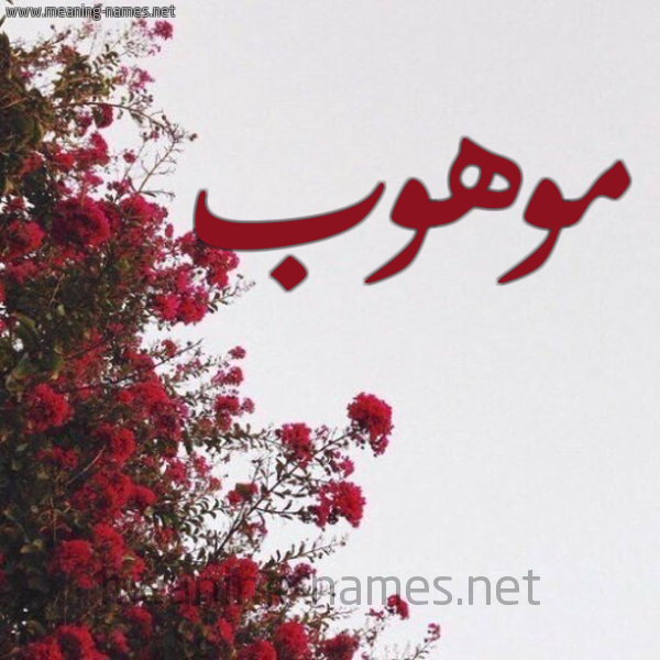 شكل 18 صوره الورد الأحمر للإسم بخط رقعة صورة اسم موهوب Mwhwb